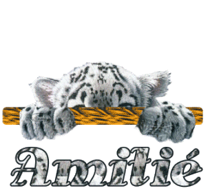 amitier pour toujour