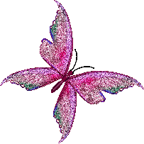 le papillon